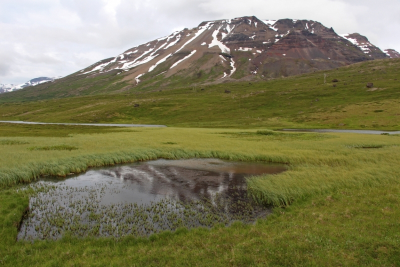 Восемь-десять дней вокруг света