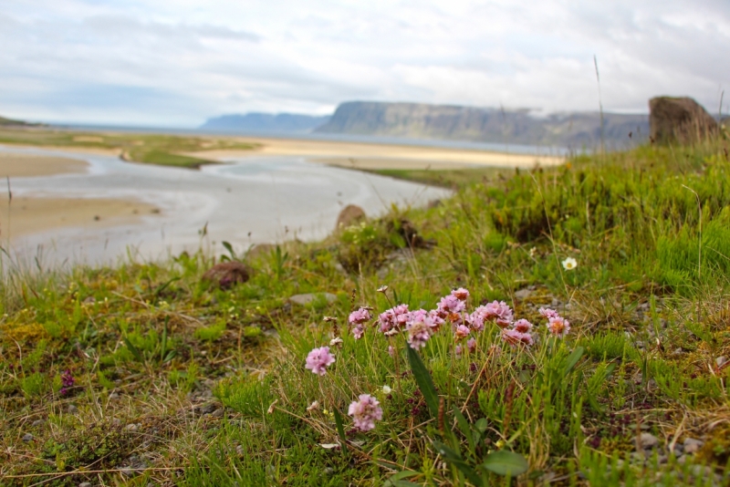 Восемь-десять дней вокруг света