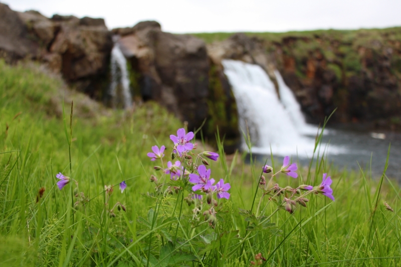 Восемь-десять дней вокруг света