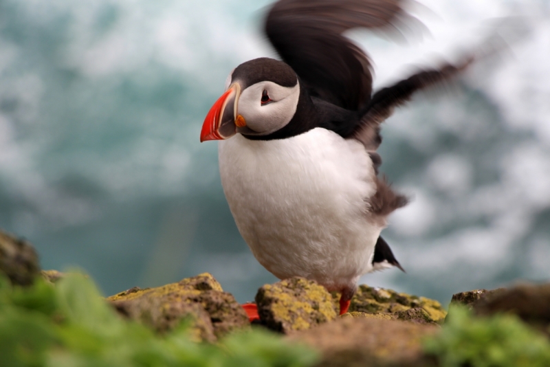 Восемь-десять дней вокруг света