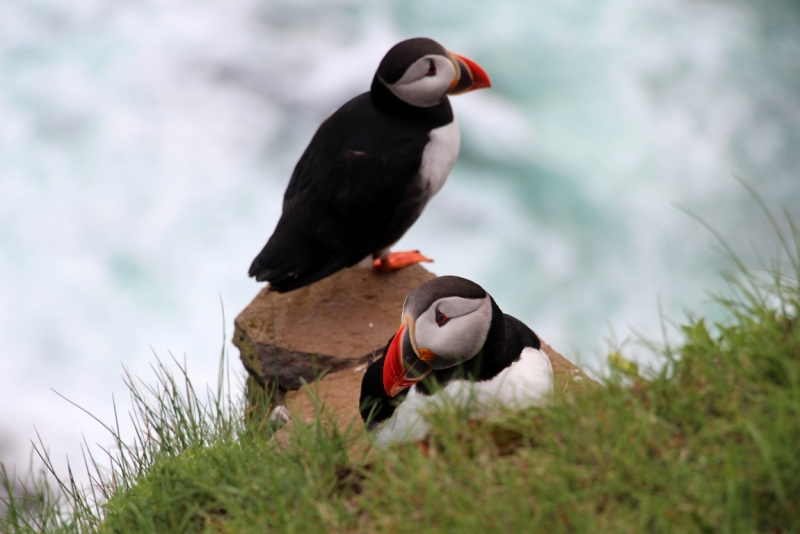 Восемь-десять дней вокруг света