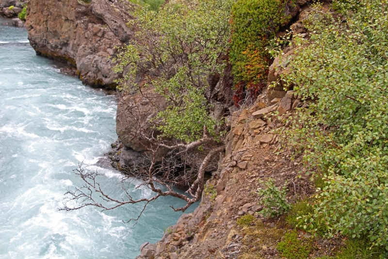 Восемь-десять дней вокруг света