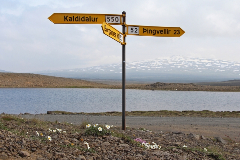 Восемь-десять дней вокруг света