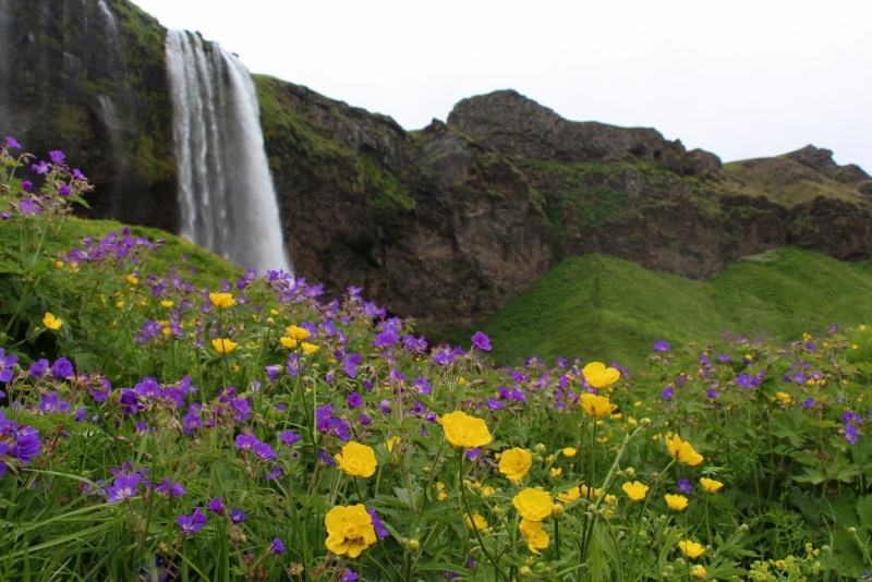 Восемь-десять дней вокруг света