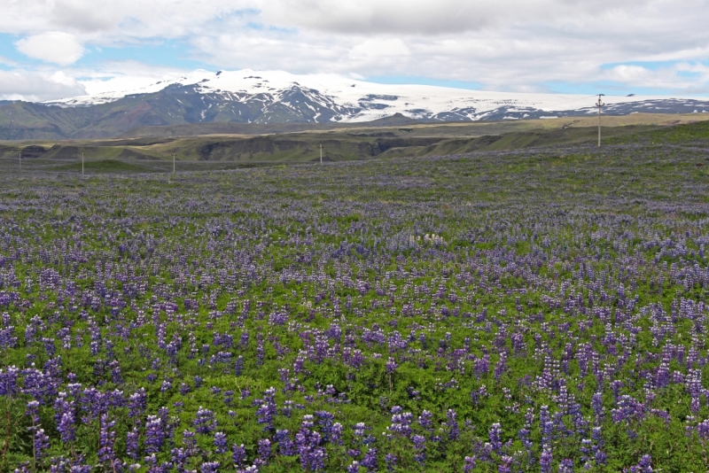 Восемь-десять дней вокруг света