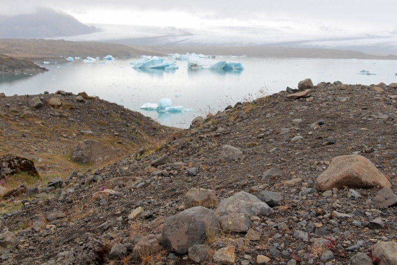 Восемь-десять дней вокруг света