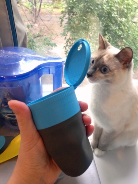 Медленно и с наслаждением: Панган со второго захода + Бангкок (онлайн, август 2016)