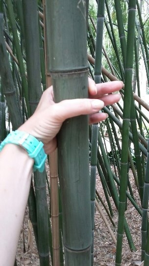 Крым 2016: отдыхай, как местные, отдыхай лучше нас!