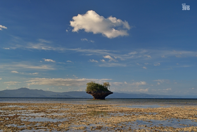 Утомленные снорком 3. Филиппины (Моалбоал) и Малазия (Перхентианы). Апрель – май 2015.
