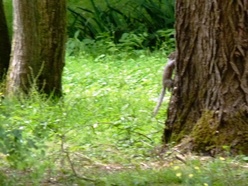 uk11