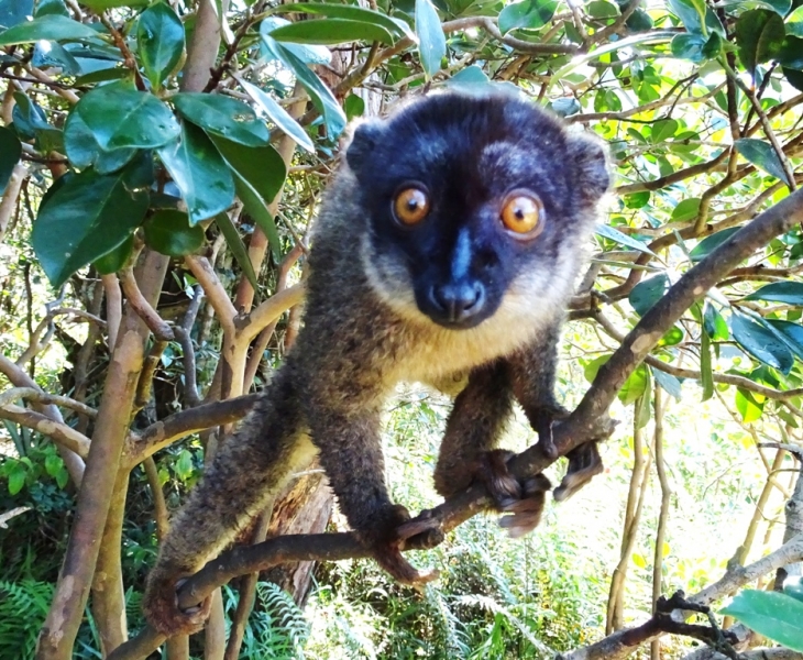 Фотографии животного мира