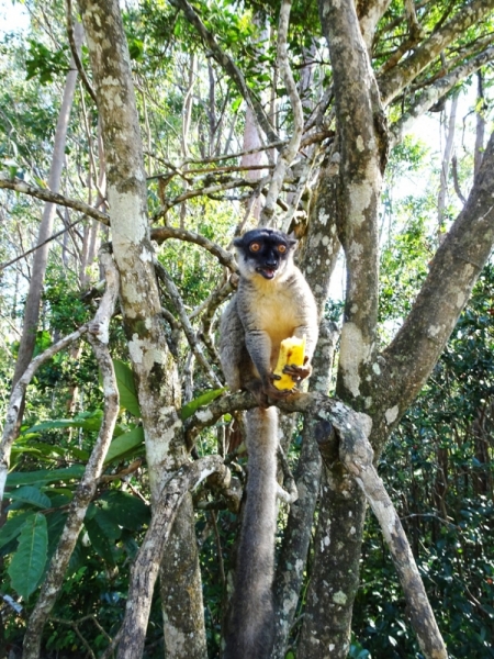Фотографии животного мира