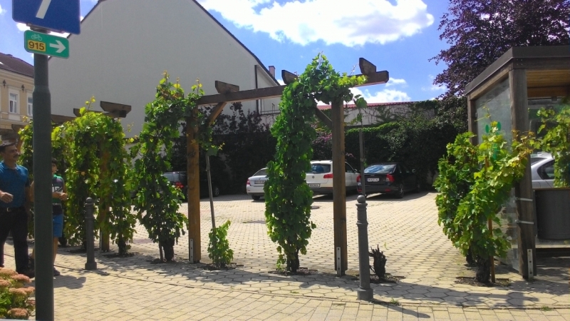 Холодно, теплее, горячо. Москва - Эстония и далее Хорватия. 7 путешествие Поли.