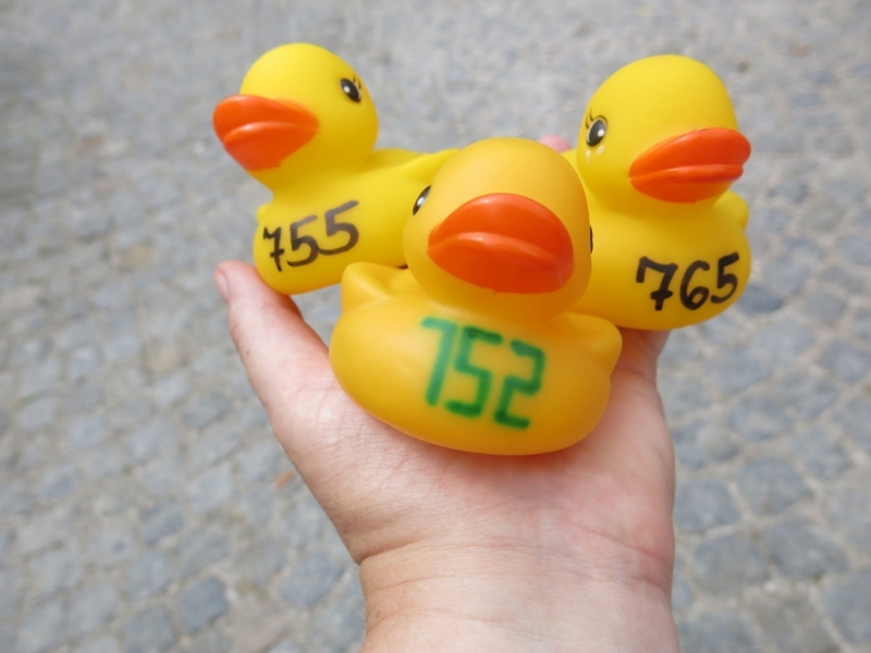 Берхинг (Berching). Канал в волшебном огне и средневековая ярмарка.Kanal im Feuerzauber.