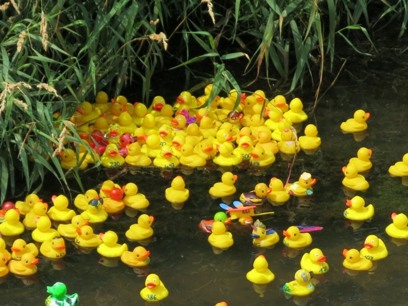 Берхинг (Berching). Канал в волшебном огне и средневековая ярмарка.Kanal im Feuerzauber.