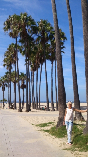 США с Востока на Запад: через горы, пляжи и песочницу