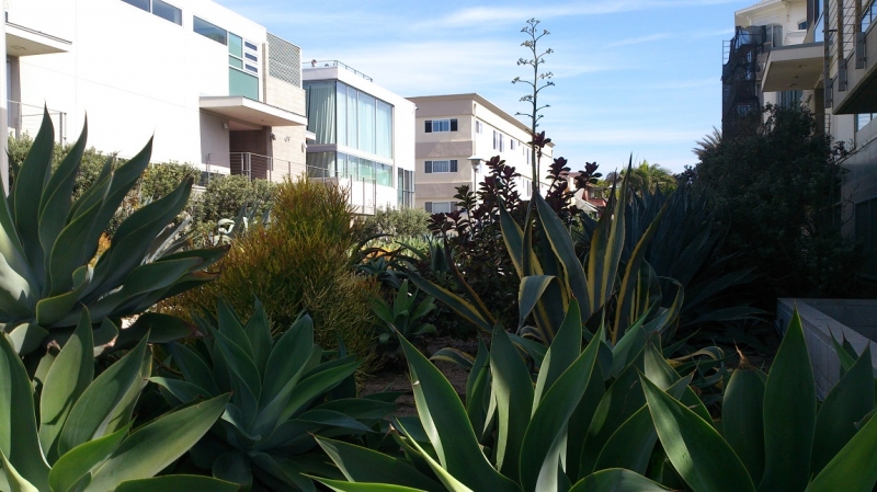 США с Востока на Запад: через горы, пляжи и песочницу