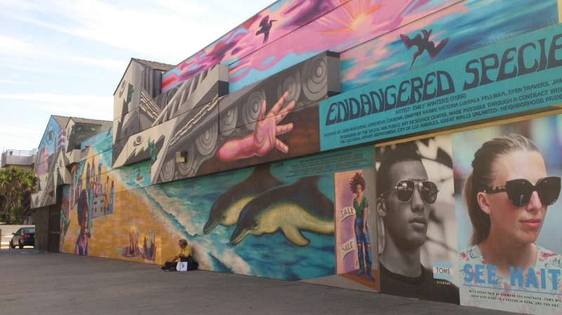 США с Востока на Запад: через горы, пляжи и песочницу