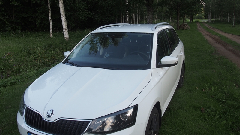 Холодно, теплее, горячо. Москва - Эстония и далее Хорватия. 7 путешествие Поли.