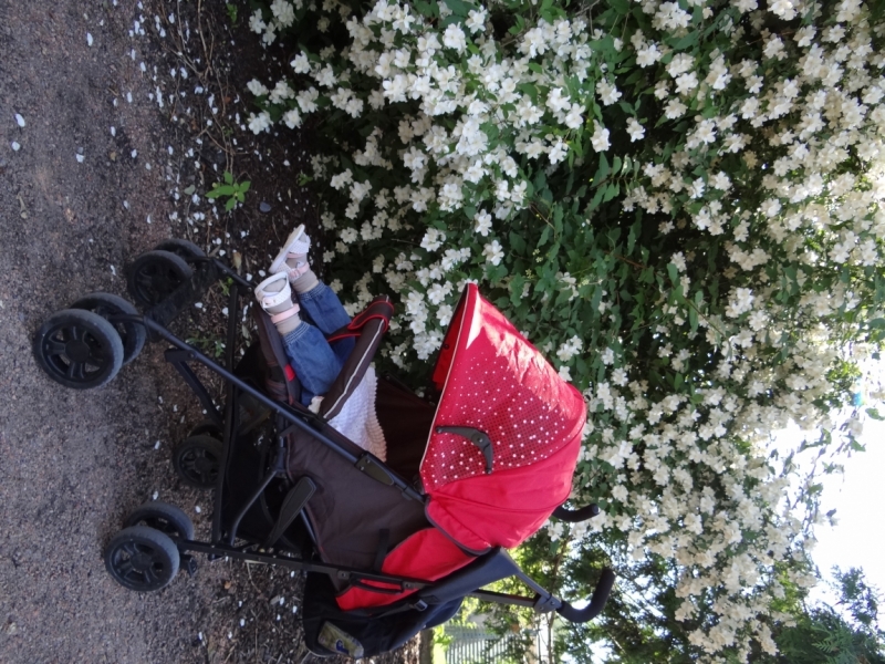 Принцесса Мария