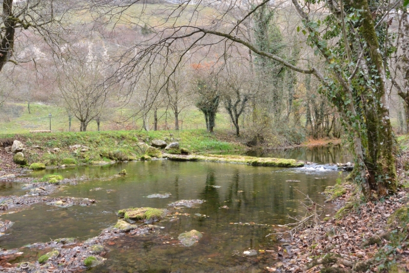 Бом-ле-Месьё