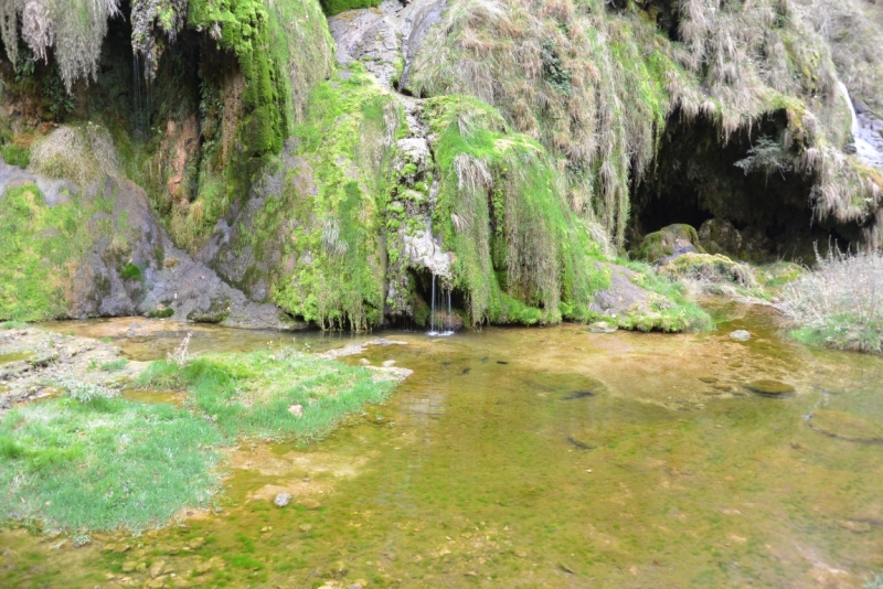 Бом-ле-Месьё