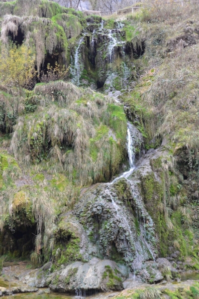 Бом-ле-Месьё