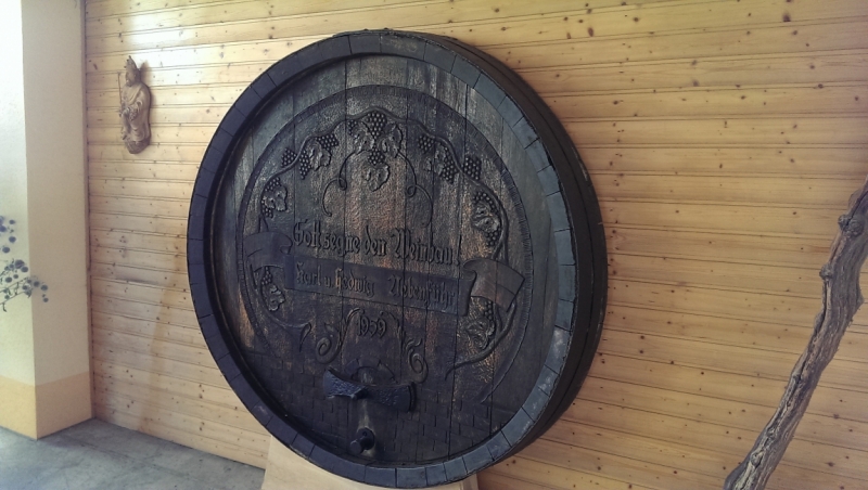 Холодно, теплее, горячо. Москва - Эстония и далее Хорватия. 7 путешествие Поли.