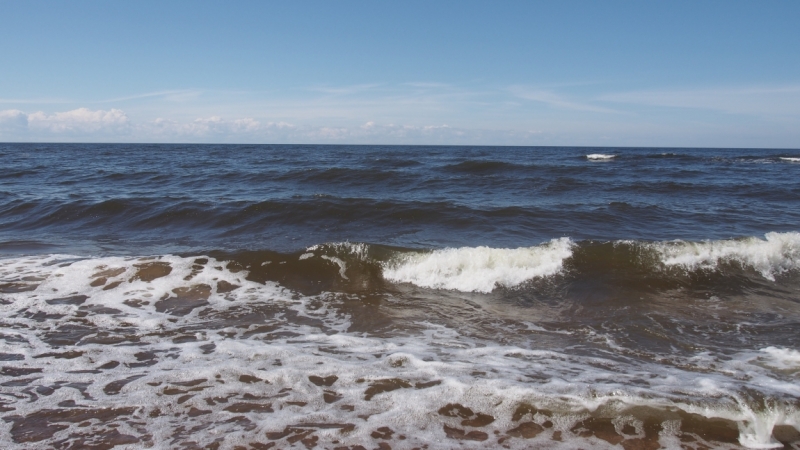 Холодно, теплее, горячо. Москва - Эстония и далее Хорватия. 7 путешествие Поли.