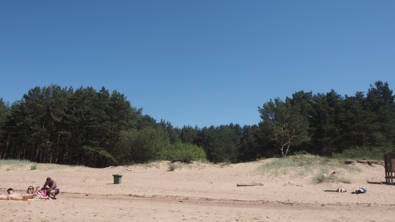 Холодно, теплее, горячо. Москва - Эстония и далее Хорватия. 7 путешествие Поли.
