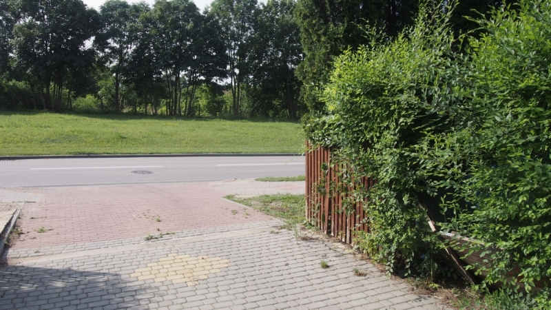 Холодно, теплее, горячо. Москва - Эстония и далее Хорватия. 7 путешествие Поли.