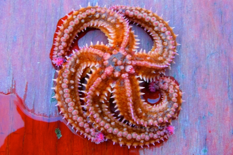 Норвегия сквозь солнечные очки. Водопады, фьорды, озера, ледники. Май-Июнь 2016