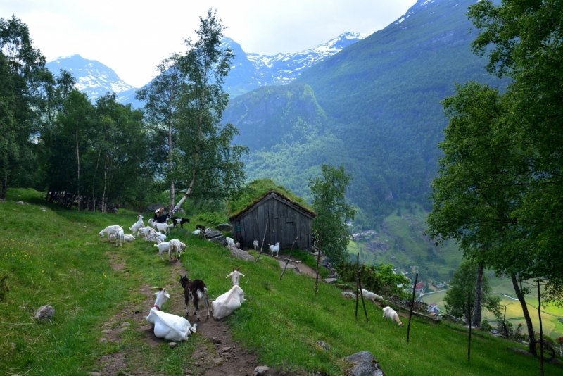 Норвегия сквозь солнечные очки. Водопады, фьорды, озера, ледники. Май-Июнь 2016