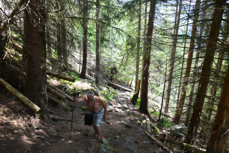Норвегия сквозь солнечные очки. Водопады, фьорды, озера, ледники. Май-Июнь 2016