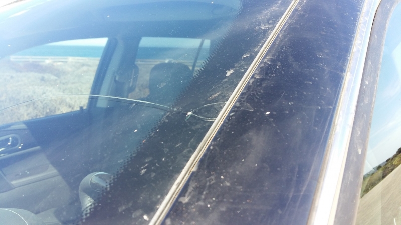 США с Востока на Запад: через горы, пляжи и песочницу