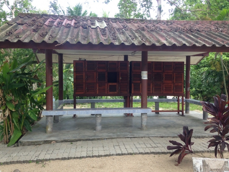 Медленно и с наслаждением: Панган со второго захода + Бангкок (онлайн, август 2016)