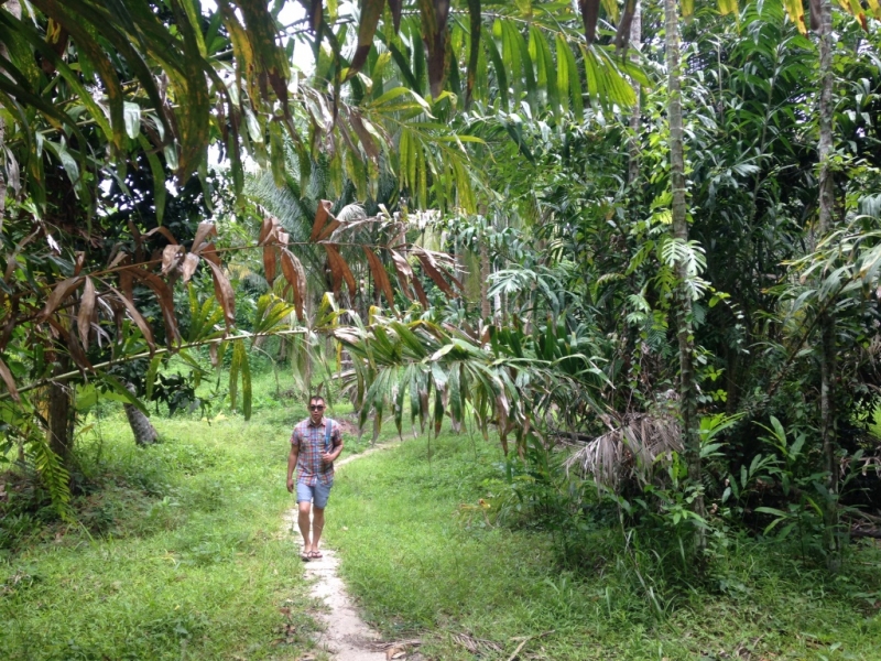 Медленно и с наслаждением: Панган со второго захода + Бангкок (онлайн, август 2016)