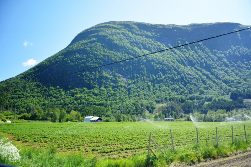 Норвегия сквозь солнечные очки. Водопады, фьорды, озера, ледники. Май-Июнь 2016