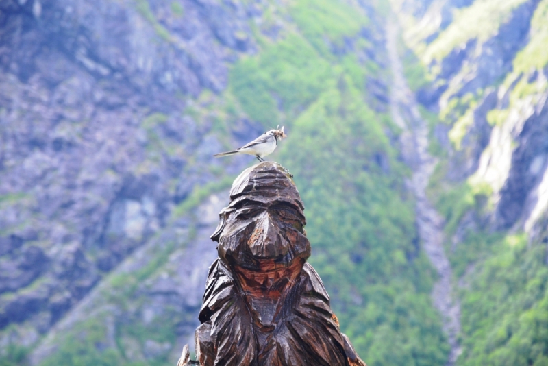 Норвегия сквозь солнечные очки. Водопады, фьорды, озера, ледники. Май-Июнь 2016