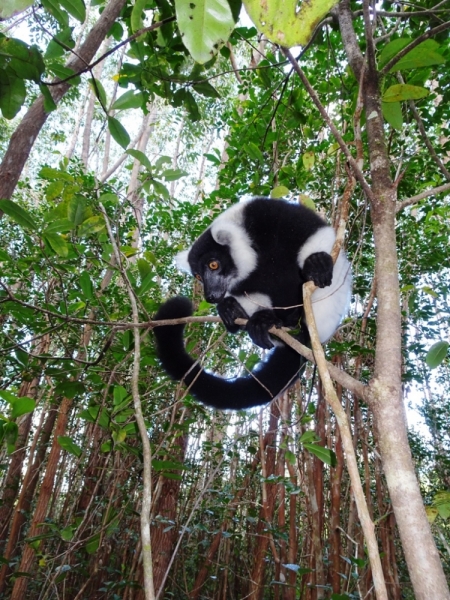 Фотографии животного мира