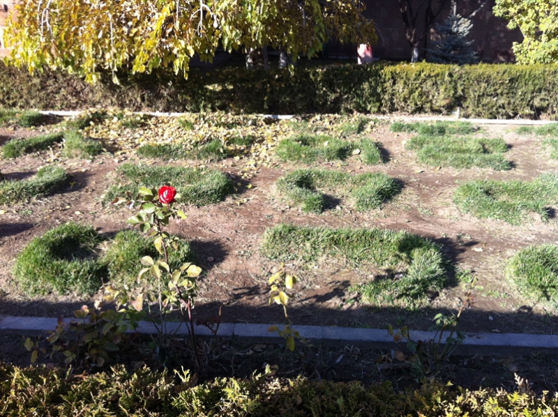 Розовый город. Армения. Ноябрь 2013г.