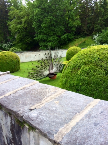 Тироль в каплях дождя