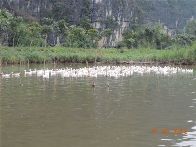 Нинь-Бинь, Халонг, Сапа, Хуэ, Хойан, Ханой. Много фото. посещение апрель 2013
