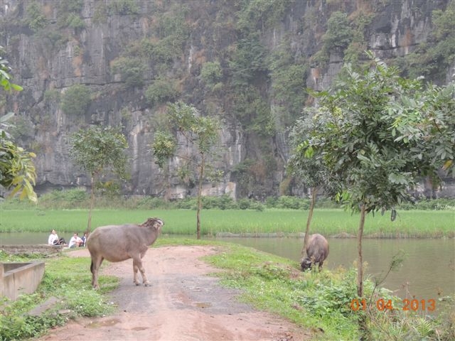 Нинь-Бинь, Халонг, Сапа, Хуэ, Хойан, Ханой. Много фото. посещение апрель 2013