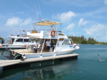 Несерьёзный отчёт.