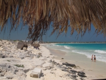 Несерьёзный отчёт.