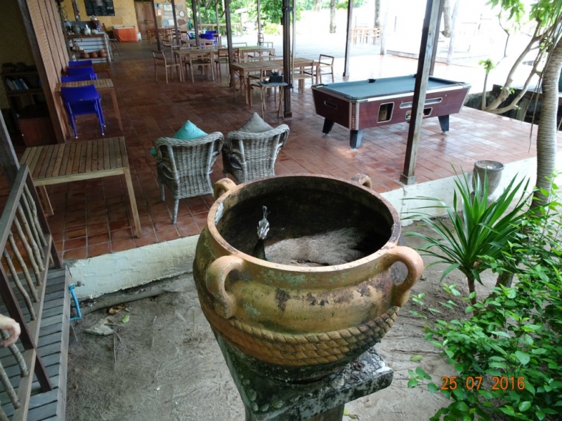 В Таиланде нет Мальдив. Есть Koh Mannorк. Это намёк.