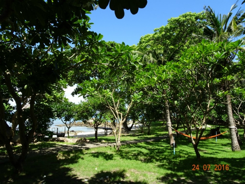 В Таиланде нет Мальдив. Есть Koh Mannorк. Это намёк.