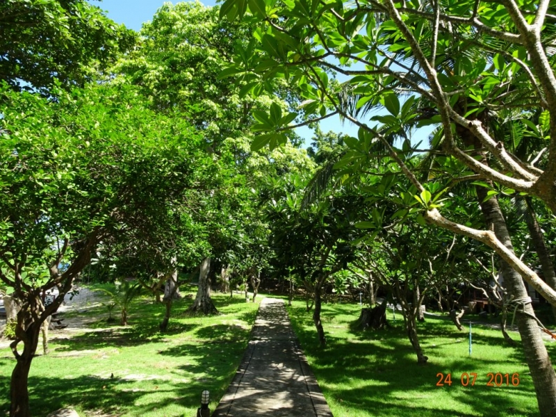 В Таиланде нет Мальдив. Есть Koh Mannorк. Это намёк.
