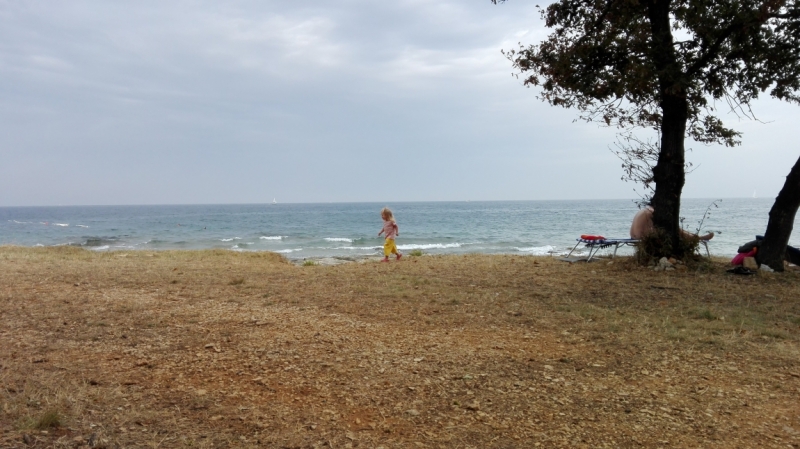 Холодно, теплее, горячо. Москва - Эстония и далее Хорватия. 7 путешествие Поли.